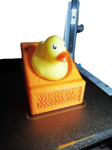 ASK THE ALL KNOWING ONE - Rubber Duck Shrine